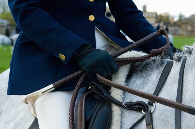 Equilandex