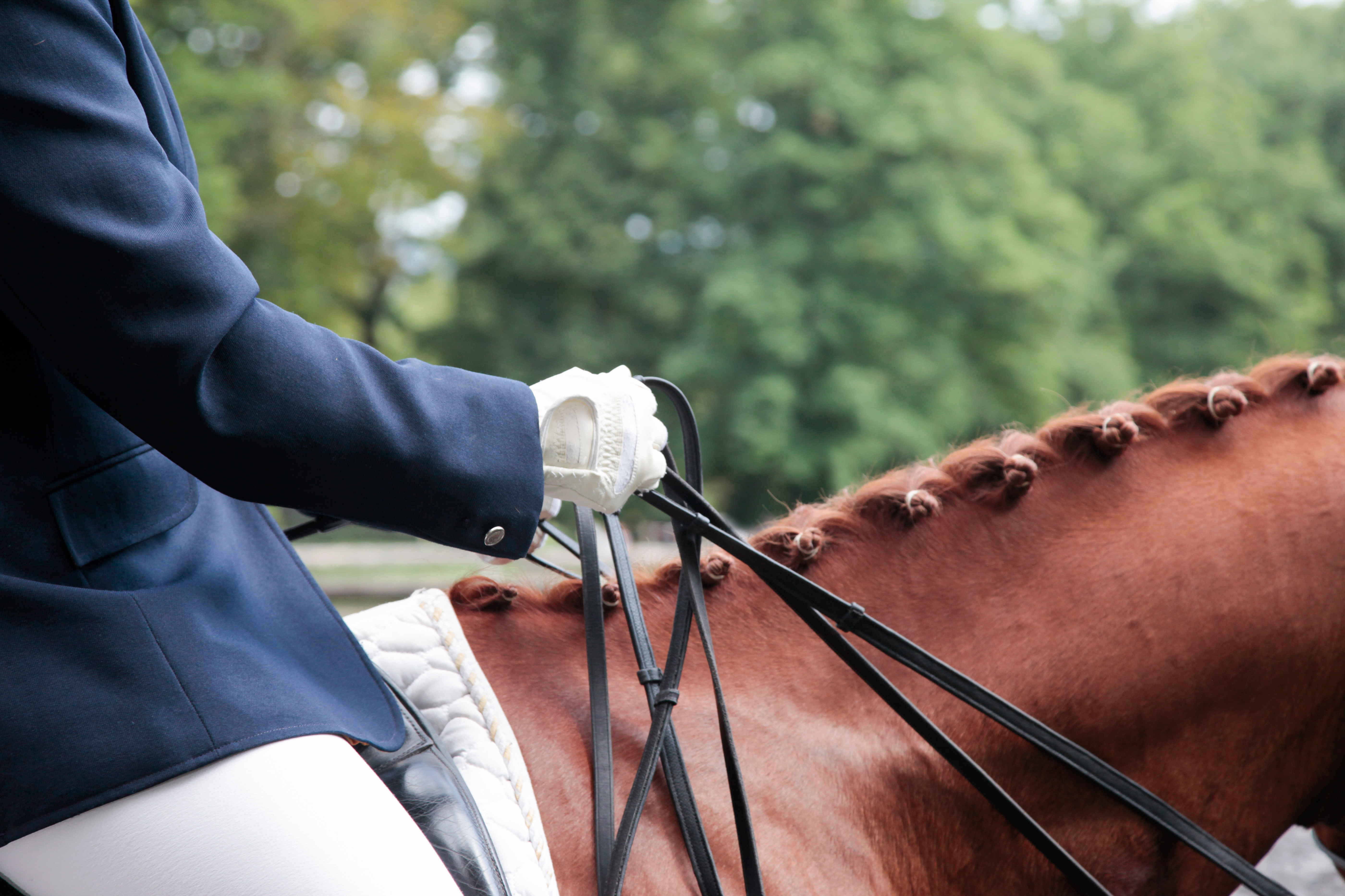 Equilandex